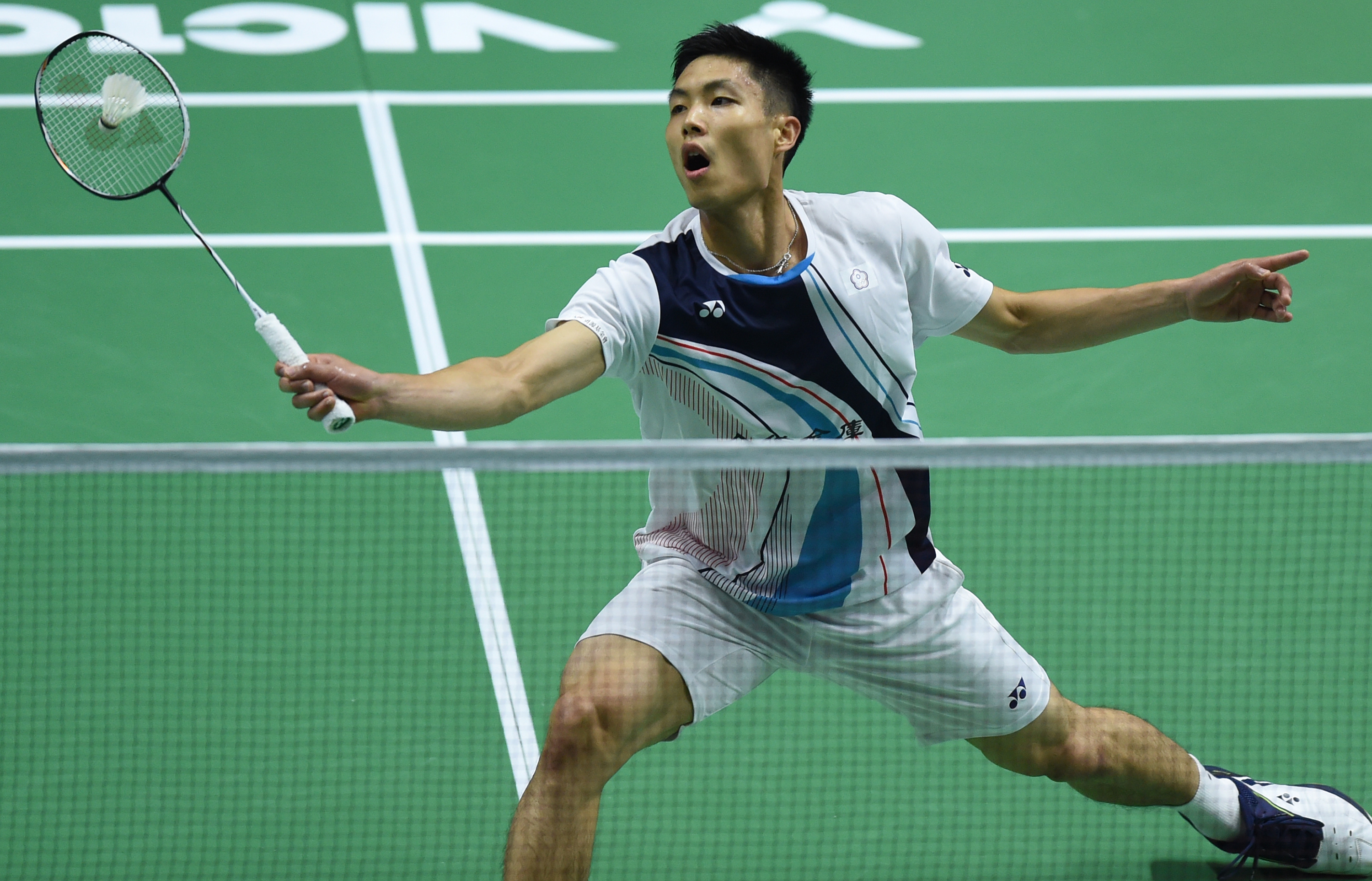 向侧翼进化 向侧翼进化