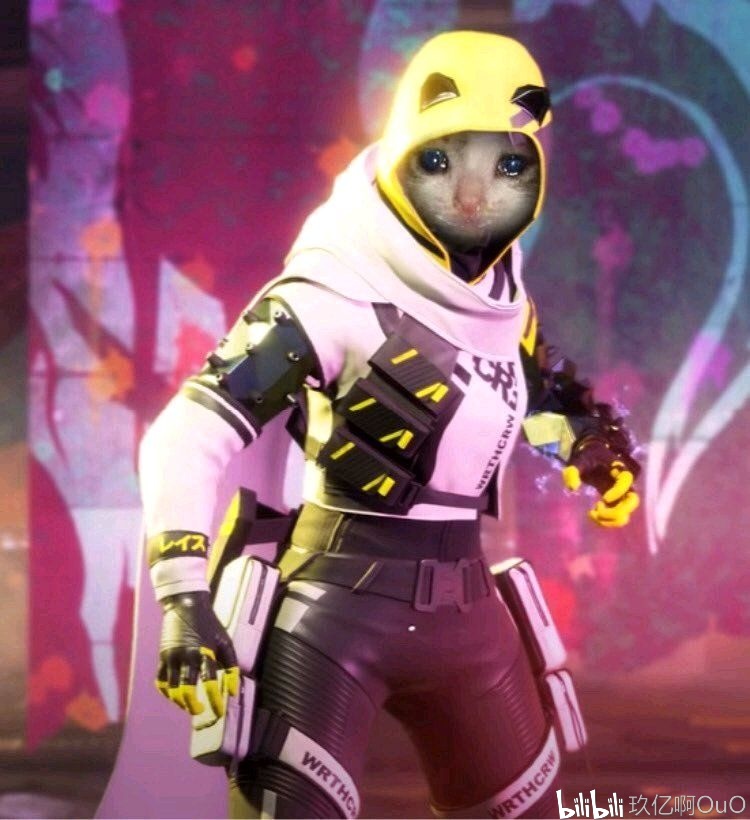 20260